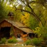 Nature___Seasons___Autumn_House_in_the_autumn_forest_057733_.jpg